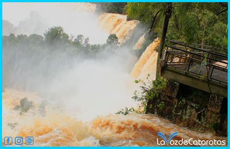 Encontraron Un Cuerpo En Las Aguas Del Río Iguazú E Investigan Si Se Trata Del Turista Que Se