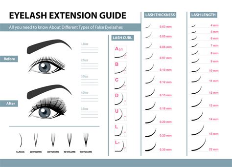 Eyelash Extensions Everything You Need To Know To Become A Certified