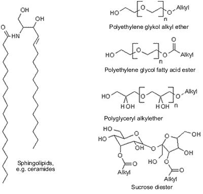 Draw Structure Of Lipid