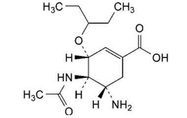 CAS No 187227 45 8 Product Name Oseltamivir Phosphate Impurity C