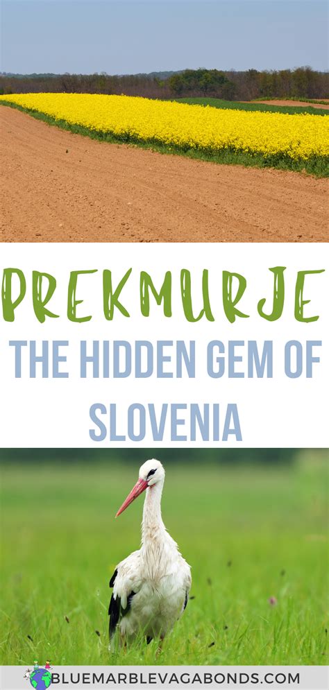 Prekmurje The Hidden Gem Of Slovenia Europe Travel Tips Slovenia