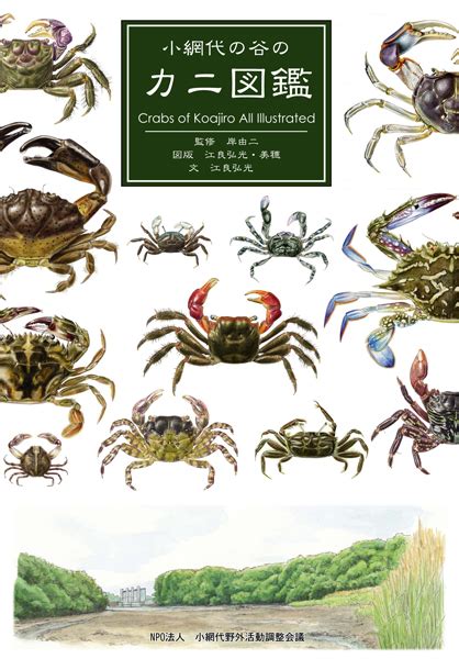 小網代の谷のカニ図鑑 Crabs of Koajiro All Illustrated | 鶴見川流域ネットワーキング（TRネット）