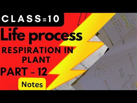 Part 12 Class 10 Science Life Process Respiration In Plant