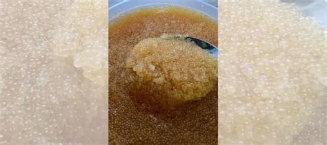 Икра щуки щучья купить в Краснодаре | Товары для дома и дачи | Авито