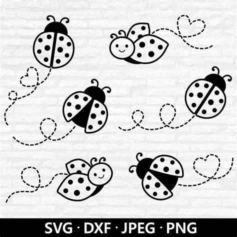 Lady Bug Black And White Clip Art