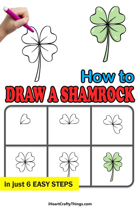 Shamrock Drawing