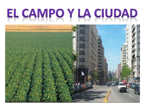 El Campo Y La Ciudad