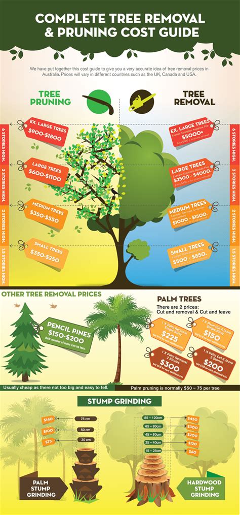 Tree Removal Cost Artofit