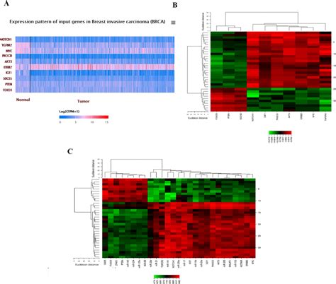 A Plot Heatmap To Show The Gene Expression Profile Of Degs In Both Download Scientific Diagram