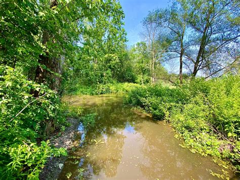 Conesus Lake Inlet Wildlife Management Area | Adventures in New York