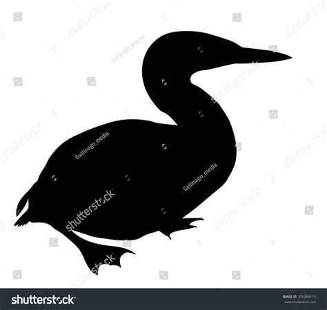 Vector Silhouette Standing Loon Diver Bird Stock Vector 376384510 ...