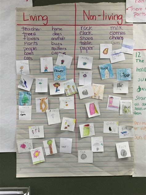 Living Things And Non Living Things Chart