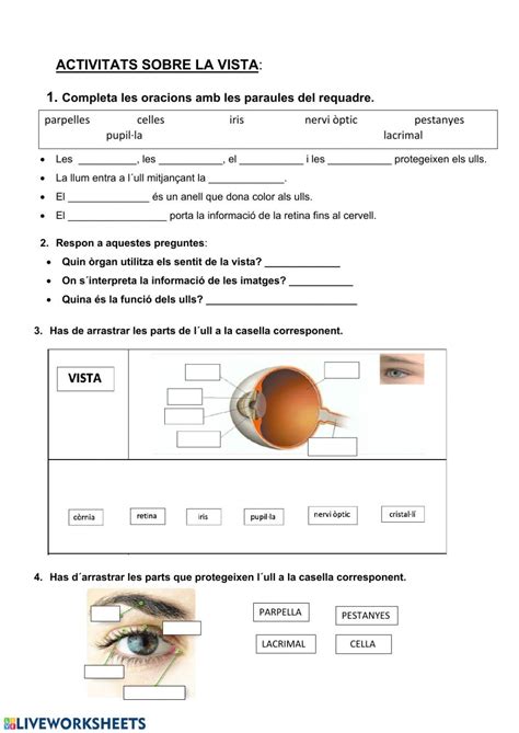 Activitats Sobre La Vista Ficha Interactiva Texts Interactive