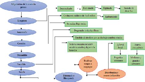 Dia De Las Pajas Online Cpshouston Net