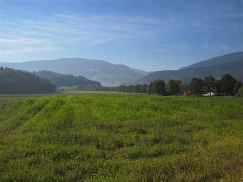 Fotos gratis paisaje árbol naturaleza bosque césped horizonte