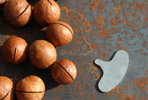 Macadamia Nuts In Shells On A Metal Background With A Key Stock Photo