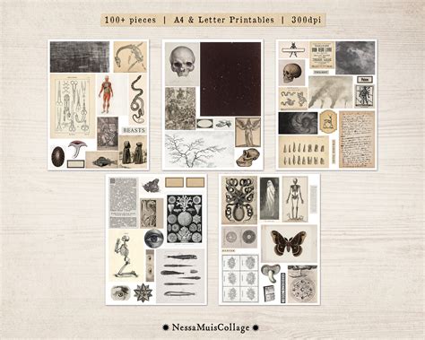 Oddities Vintage Collage Kit Collage Sheet Gothic Creepy Macabre Printable Junk Journal