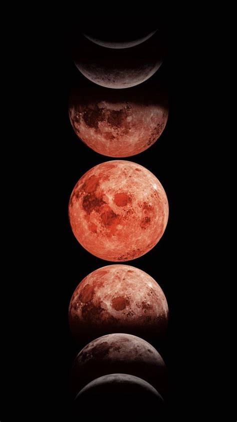 Update More Than Blood Moon Wallpaper Latest In Cdgdbentre