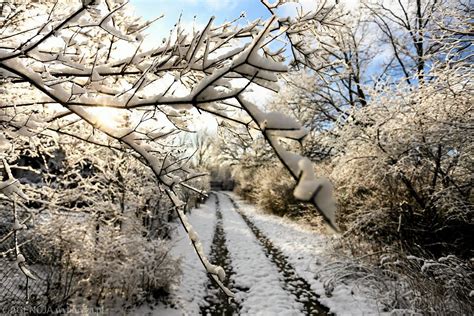 Pogoda Nowa Prognoza Na Zim Ma O Niegu I Temperatura Wy Sza