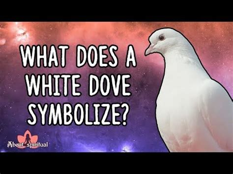 Symbolism Of The White Dove