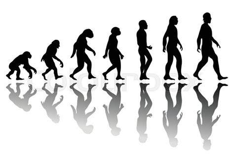 Man Evolution Silhouette Progress Stock Vector Colourbox