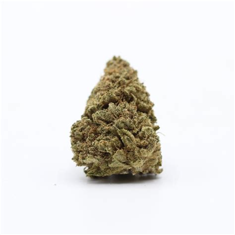 King Tut AA 2 14 Gram Crazycannabis Online Dispensary Canada Buy