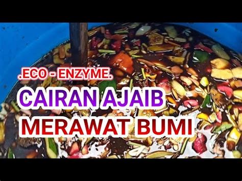 Pembuatan Eco Enzyme Cairan Ajaib Merawat Bumi Youtube