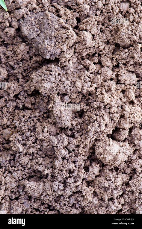 Macro closeup of ground background. Dirt detail fragment Stock Photo - Alamy