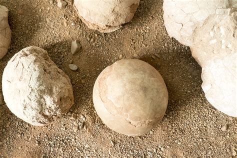 Gobi Desert Mongolia Dinosaur Eggs Christopher Michel Flickr