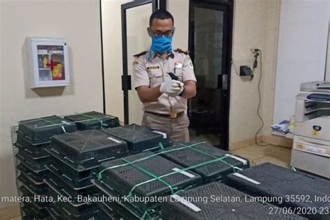 Karantina Pertanian Lampung Gagalkan Penyelundupan Burung