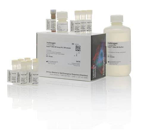 Invitrogen™ Qubit™ Rna High Sensitivity Hs Broad Range Br And