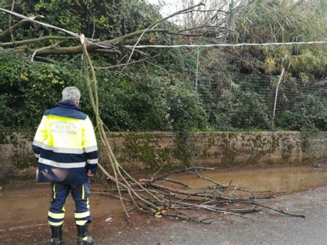 Monte Compatri Maltempo Alberi Caduti E Strade Interrotte Diversi