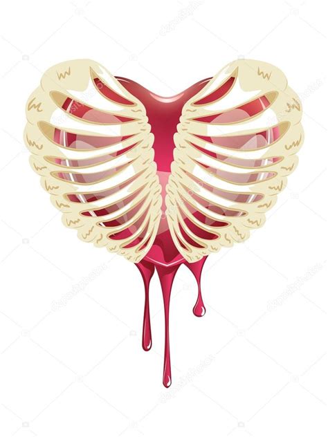 Red Bleeding Heart In Thorax Stock Vector Image By ©artshock 67828399