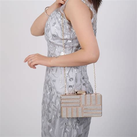 Acrylic Evening Bag Simple Chain Shoulder Bag (Golden gray) – Alexnld.com