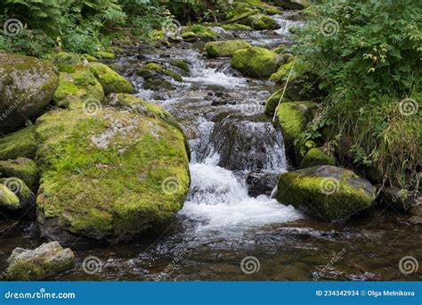 Cascading Down A Small Mountain Stream The Water Runs Over Basalt