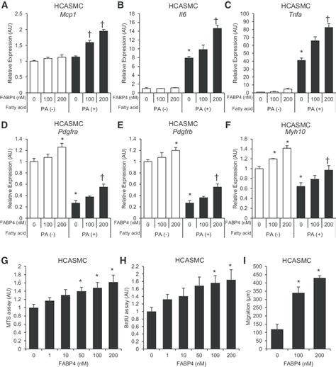 Effect Of Exogenous Fatty Acidbinding Protein 4 Fabp4 In Human