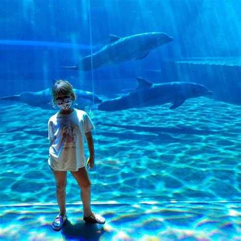 Il Secolo Xix Su Instagram La Magia Dell Acquario Di Genova Quando Si