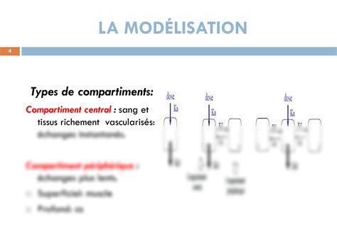 SOLUTION Parametres Pharmacocin Tiques Et Mod Lisation Partie 2