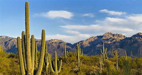 Arizona-Mexico-border-map – Arizona's Economy