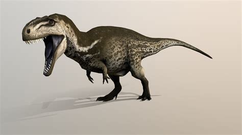 Prehistoric animal battle royale, who's winning this : r/Dinosaurs