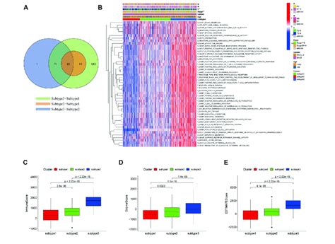 Distinct Properties Of The Three Subtypes With Respect To Download Scientific Diagram