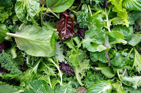 Salad Greens Calories And Nutrition 100g