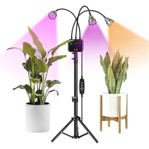 The 4 Best Grow Lights For Pothos Of 2023 Swipe Garden