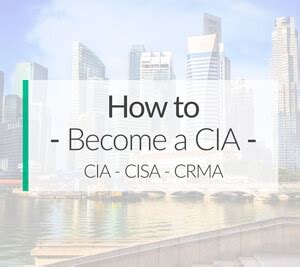 Certified Internal Auditor Salary Guide How Much Do Cias Make