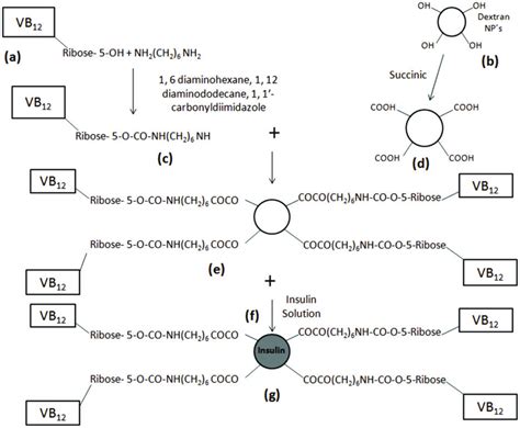 Schematic Representation Of Development Of Insulin Loaded Vb Coupled