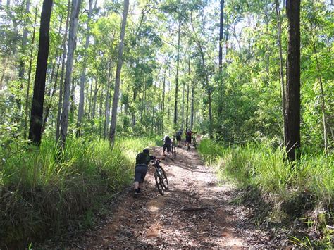 Mount Kilcoy Musings