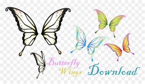 Transparent Butterfly Wings Png - Anime Butterfly Wings, Png Download - vhv