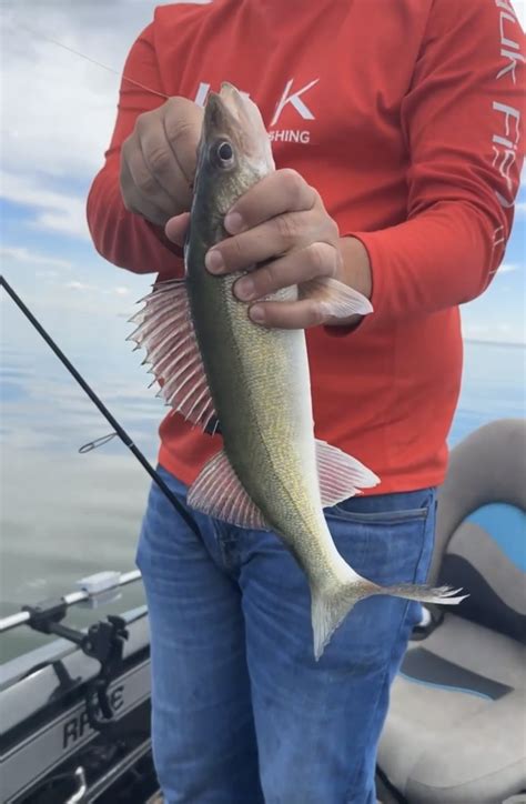 Nd Fishing Report July Th Mike Peluso Outdoors