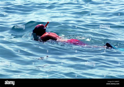 Turtle Bay - St Kitts. Snorkeling in Turtle Bay Stock Photo - Alamy