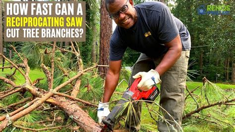 Using A Reciprocating Saw To Cut Tree Branches Youtube